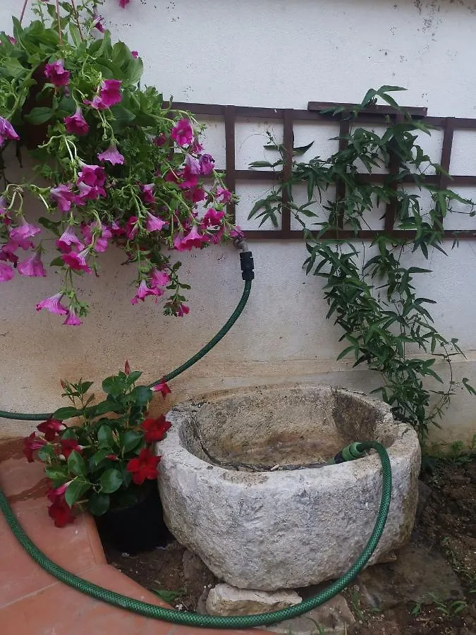 Princess House Palermo - Intero Appartamento - Mondello